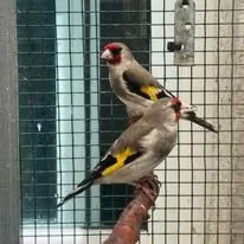 989775 (1) 989775 (1)